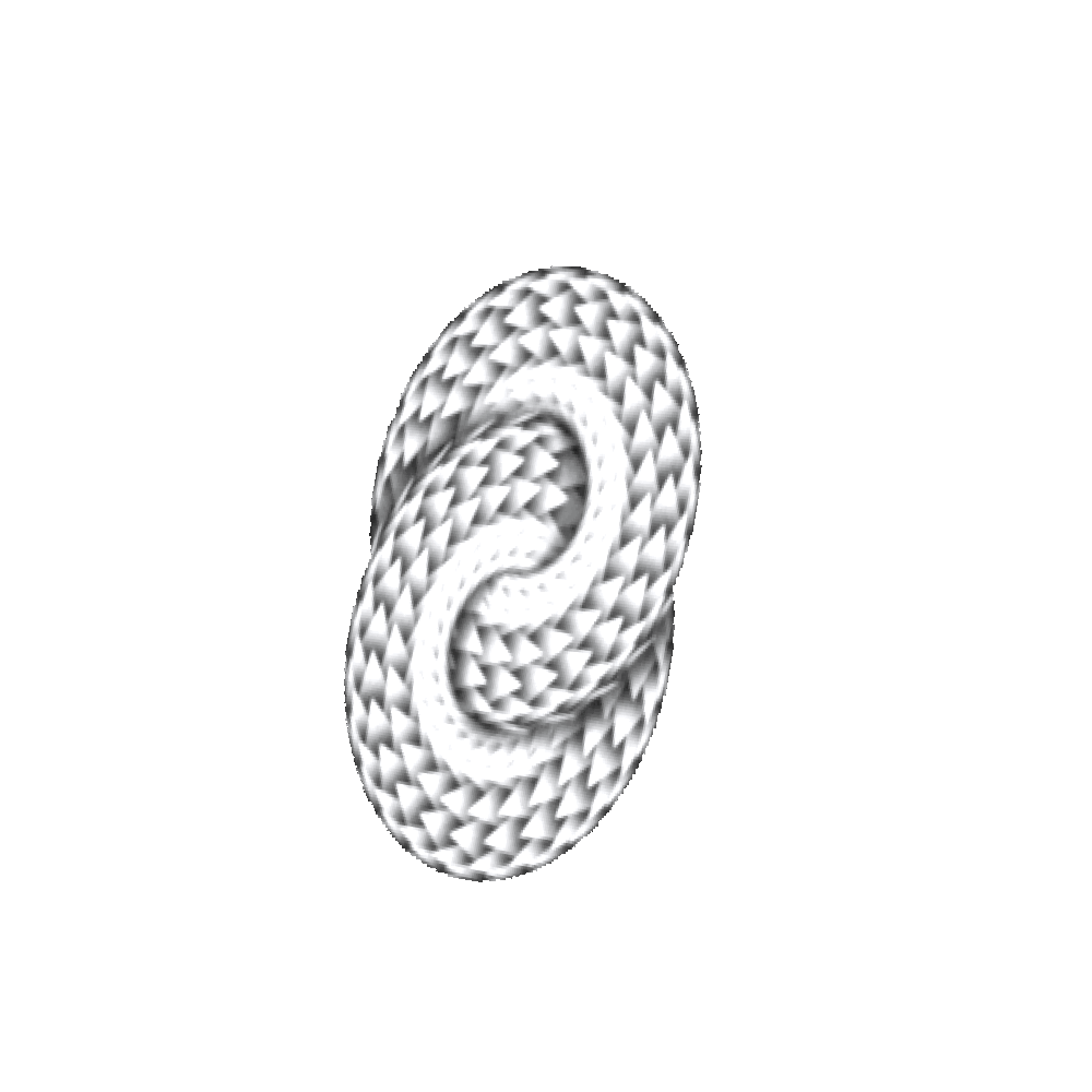 snake_image